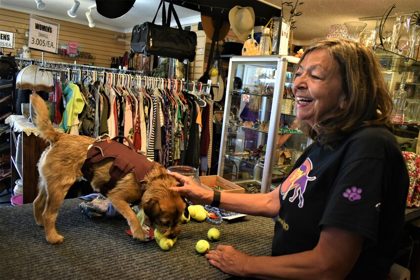 Englewood resident Wendi Roth plays with visiting dog Scout at Soul Dog Rescue & Humane Society thrift store on Aug. 16, 2023.